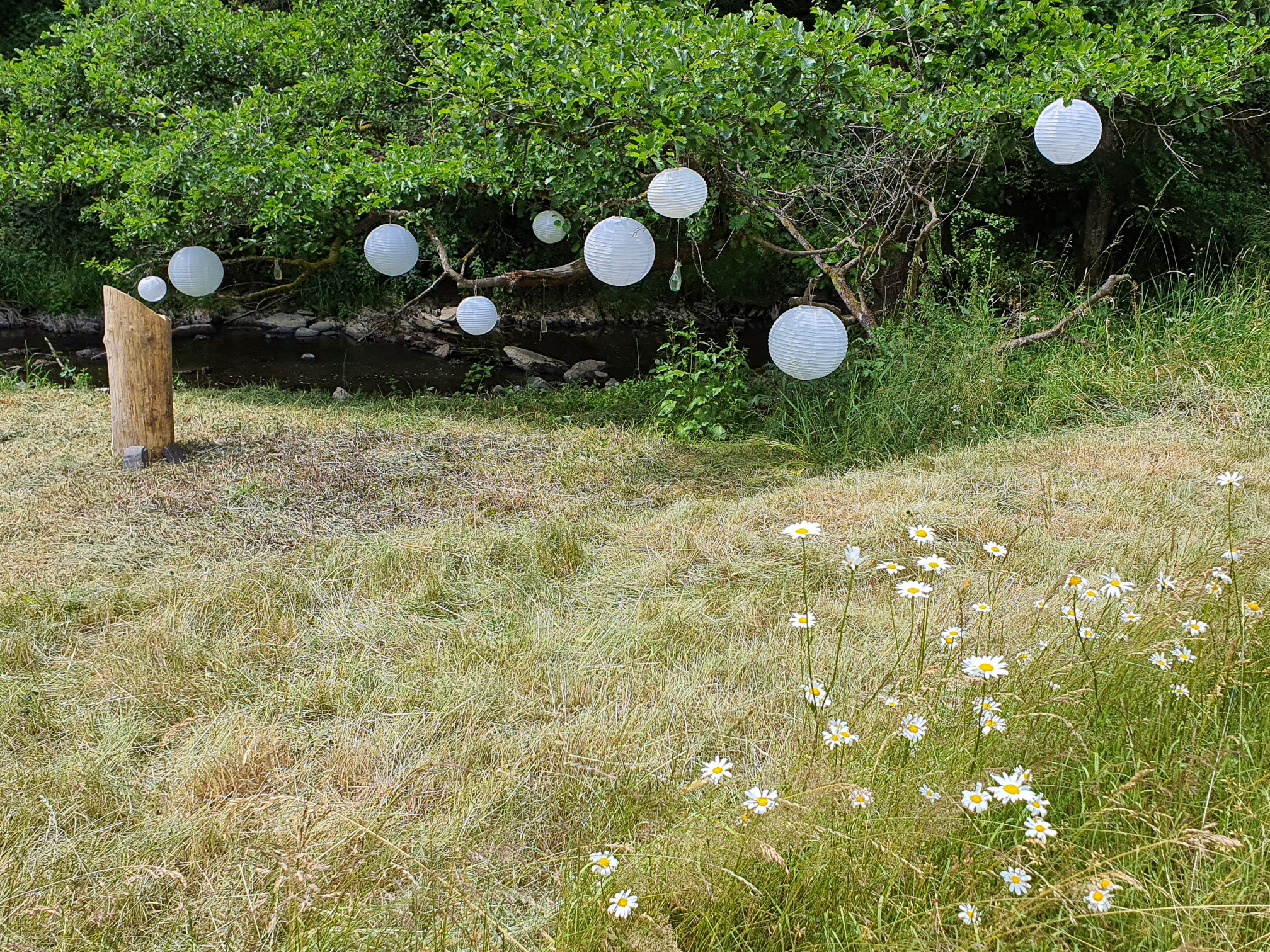&quot;Beleuchtung&quot; am Ueßbach
